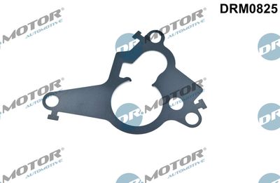 Gasket, vacuum pump piston Dr.Motor Automotive DRM0825