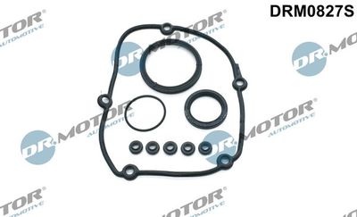 Gasket Kit, timing case Dr.Motor Automotive DRM0827S