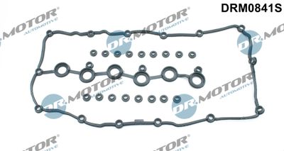 Gasket Set, cylinder head cover Dr.Motor Automotive DRM0841S
