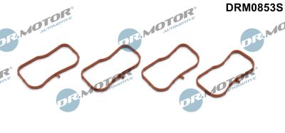Gasket Set, intake manifold Dr.Motor Automotive DRM0853S