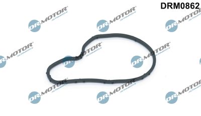 Gasket, vacuum pump Dr.Motor Automotive DRM0862