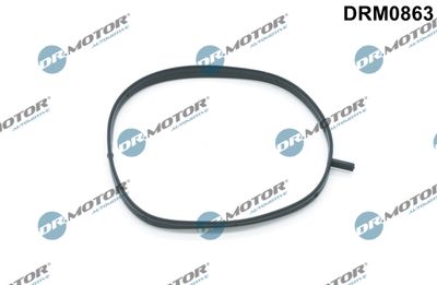 Gasket, intake manifold housing Dr.Motor Automotive DRM0863