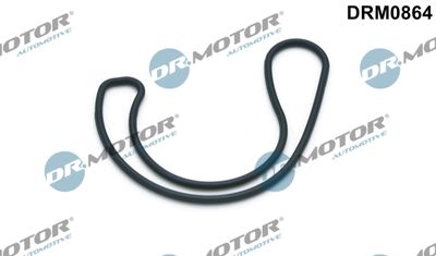 Gasket, EGR valve Dr.Motor Automotive DRM0864