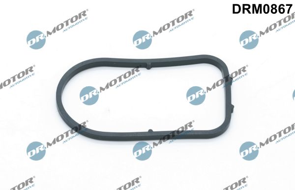 Dr.Motor Automotive DRM0867 Gasket, vacuum pump