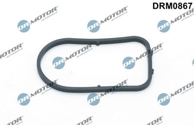 Gasket, vacuum pump Dr.Motor Automotive DRM0867