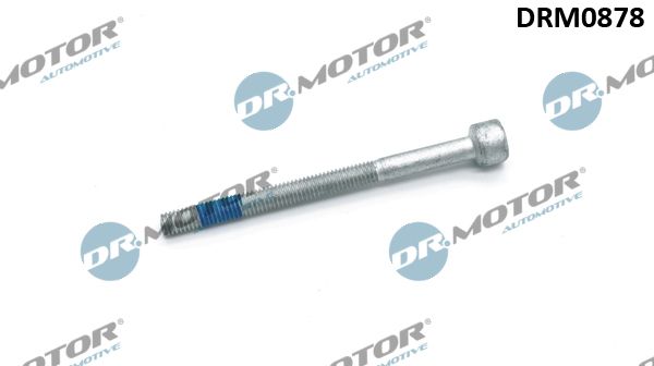 Dr.Motor Automotive DRM0878 Screw, injection nozzle holder