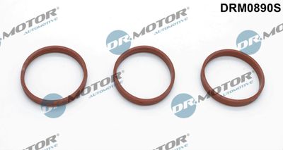 Gasket Set, intake manifold Dr.Motor Automotive DRM0890S