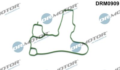 Gasket, crankcase ventilation Dr.Motor Automotive DRM0909