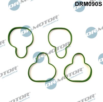 Dr.Motor Automotive DRM090S Gasket Set, intake manifold