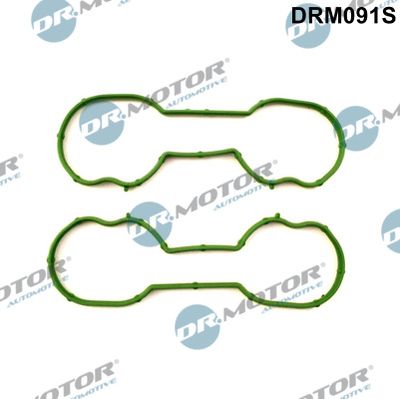 Gasket Set, intake manifold Dr.Motor Automotive DRM091S