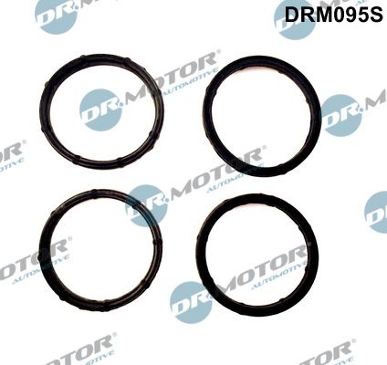 Dr.Motor Automotive DRM095S Gasket Set, intake manifold
