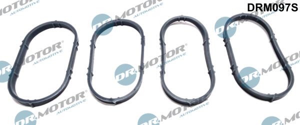 Dr.Motor Automotive DRM097S Gasket Set, intake manifold