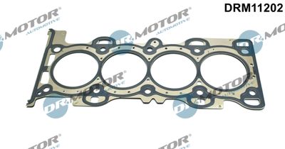 Gasket, cylinder head Dr.Motor Automotive DRM11202