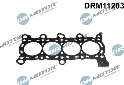 Gasket, cylinder head Dr.Motor Automotive DRM11203