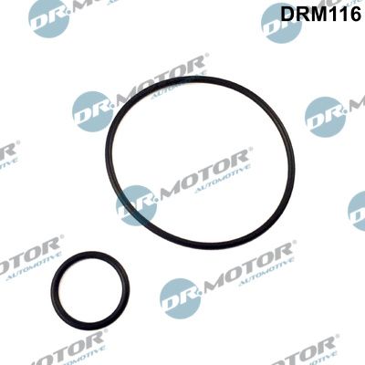 Gasket Set, intake manifold Dr.Motor Automotive DRM116