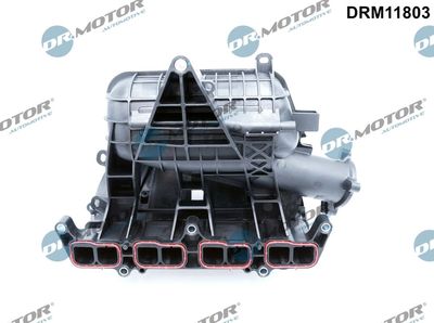Intake Manifold Module Dr.Motor Automotive DRM11803