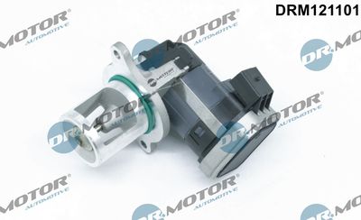 EGR Valve Dr.Motor Automotive DRM121101