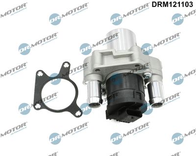 EGR Valve Dr.Motor Automotive DRM121103