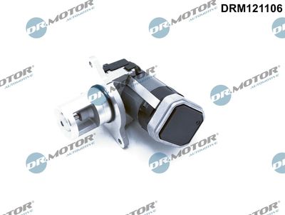 EGR Valve Dr.Motor Automotive DRM121106