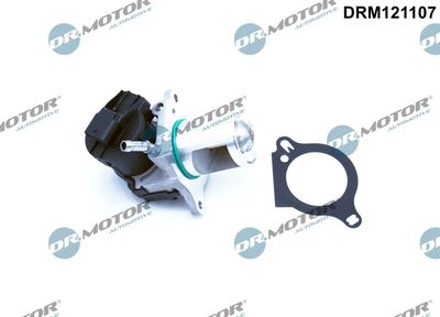 EGR Valve Dr.Motor Automotive DRM121107