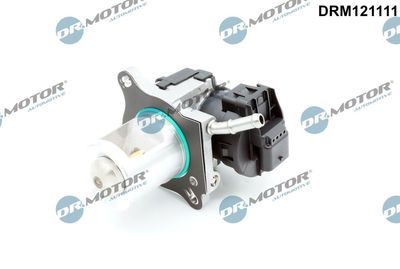 EGR Valve Dr.Motor Automotive DRM121111