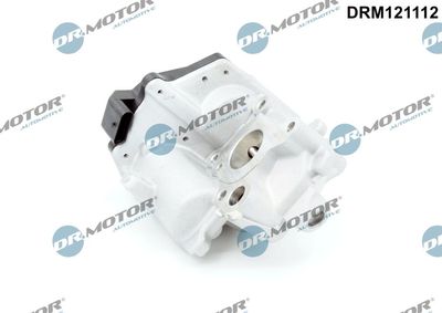 EGR Valve Dr.Motor Automotive DRM121112