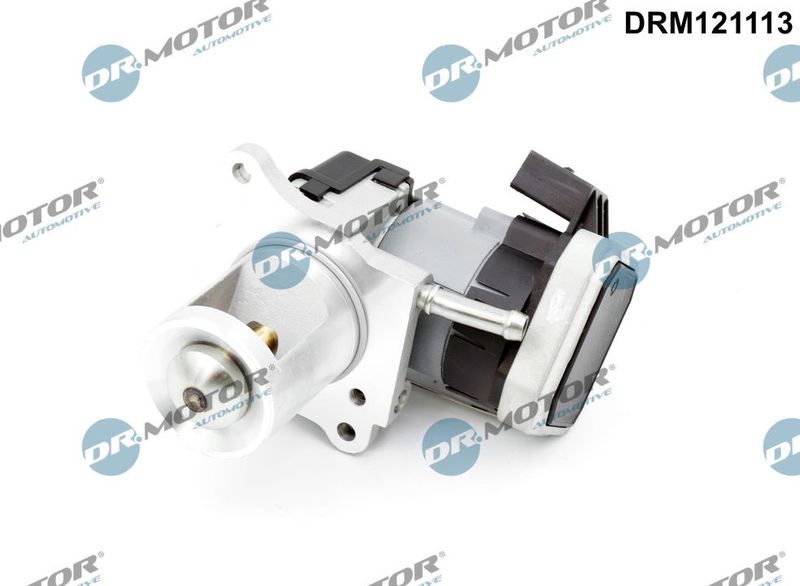 Dr.Motor Automotive DRM121113 EGR Valve