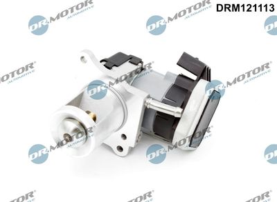 EGR Valve Dr.Motor Automotive DRM121113