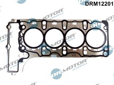 Gasket, cylinder head Dr.Motor Automotive DRM12201
