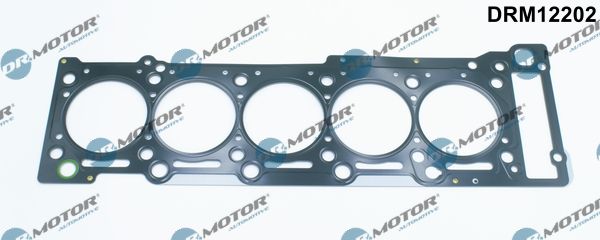 Dr.Motor Automotive DRM12202 Gasket, cylinder head