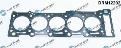 Gasket, cylinder head Dr.Motor Automotive DRM12202