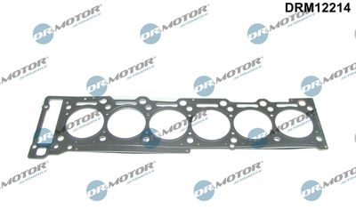 Gasket, cylinder head Dr.Motor Automotive DRM12214