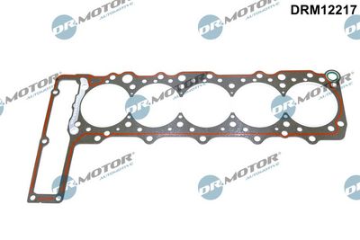 Gasket, cylinder head Dr.Motor Automotive DRM12217