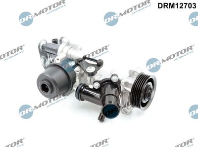 Water Pump, engine cooling Dr.Motor Automotive DRM12703