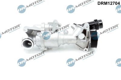 Water Pump, engine cooling Dr.Motor Automotive DRM12704