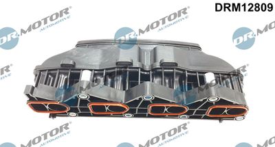 Intake Manifold Module Dr.Motor Automotive DRM12809