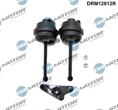 Repair Kit, intake manifold module Dr.Motor Automotive DRM12812R