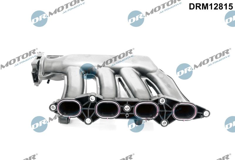 Dr.Motor Automotive DRM12815 Intake Manifold Module