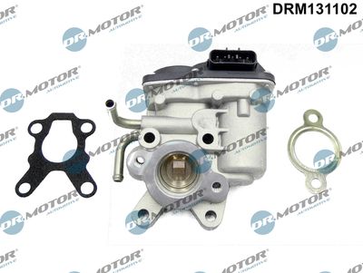 EGR Valve Dr.Motor Automotive DRM131102