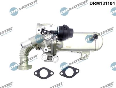 Cooler, exhaust gas recirculation Dr.Motor Automotive DRM131104