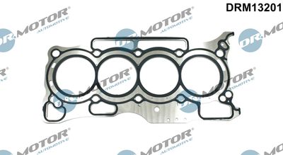 Gasket, cylinder head Dr.Motor Automotive DRM13201