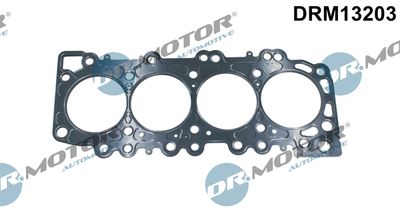 Gasket, cylinder head Dr.Motor Automotive DRM13203