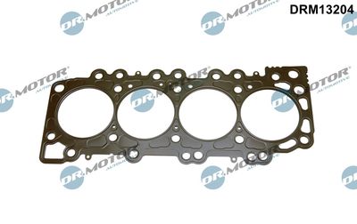 Gasket, cylinder head Dr.Motor Automotive DRM13204