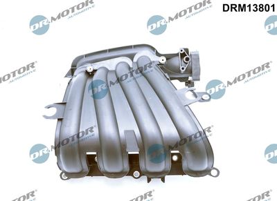 Intake Manifold Module Dr.Motor Automotive DRM13801