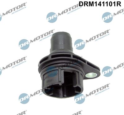 Pipe, EGR valve Dr.Motor Automotive DRM141101R