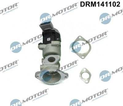 EGR Valve Dr.Motor Automotive DRM141102