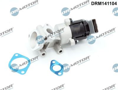 EGR Valve Dr.Motor Automotive DRM141104