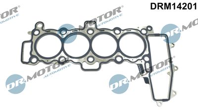 Gasket, cylinder head Dr.Motor Automotive DRM14201