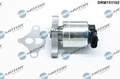 EGR Valve Dr.Motor Automotive DRM151102