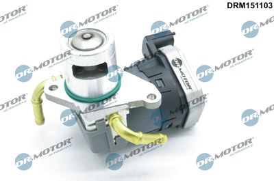 EGR Valve Dr.Motor Automotive DRM151103